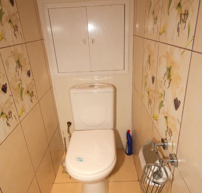 Туалет В Обычной Квартире Фото