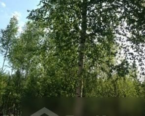 Продаю земельный участок, 6.3 сот., деревня Мерзлово, Центральная улица