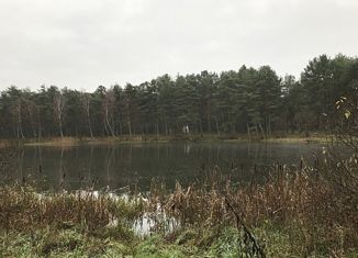 Участок на продажу, 100 сот., поселок Ветрово, Школьная улица, 10