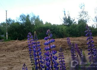 Продаю земельный участок, 6.35 сот., деревня Райки, садоводческое некоммерческое товарищество Райки, 119