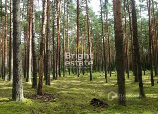 Продается участок, 75 сот., поселок Николина Гора