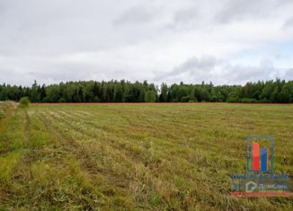 Продам земельный участок, 388 сот., деревня Лисенки, деревня Лисенки, 13