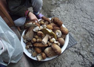 Продается земельный участок, 5.3 сот., деревня Григорьевка