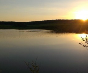 Продам земельный участок, 8 сот., СНТ Кабельщик-5, 4-я улица