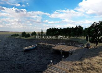 Продажа земельного участка, 34 сот., село Петровское, улица Мишанова