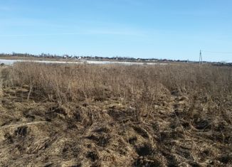 Продам земельный участок, 43 сот., деревня Старое Ракомо, Центральная улица