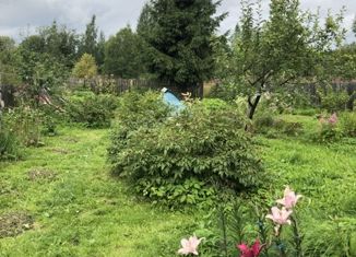 Продается дом, 46.1 м2, деревня Едно