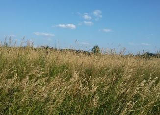 Земельный участок на продажу, 12 сот., деревня Старое Ракомо, Центральная улица