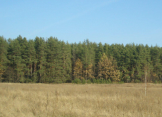 Продажа земельного участка, 2000 сот., деревня Упоровка, Школьная улица
