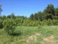 Продается участок, 9 сот., село Игумново, Центральная улица, 72