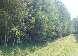 Продаю земельный участок, 15 сот., СНТ Лесное