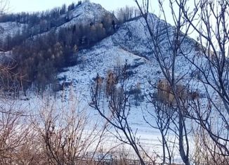 Продаю участок, 31 сот., село Усть-Кан, Ленинская улица