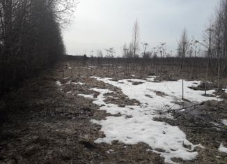 Земельный участок на продажу, 15 сот., деревня Остров