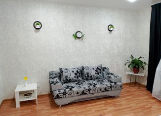 Сдаю 1-ком. квартиру, 30 м2, Мордовия, улица Сущинского, 36