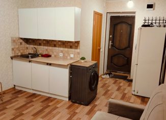 Сдаю в аренду квартиру студию, 19.2 м2, Татарстан, переулок Шадрина, 5