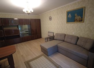 Сдается в аренду 1-ком. квартира, 32.6 м2, Пушкин, Школьная улица, 53А