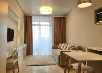 Сдается 1-ком. квартира, 30 м2, Санкт-Петербург, Смоленская улица, 18