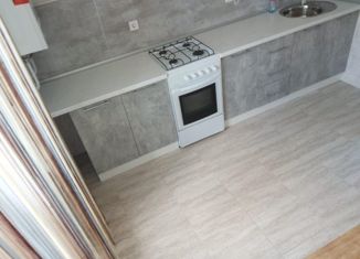 1-комнатная квартира в аренду, 40 м2, Ставрополь, улица Генерала Маргелова, 5/2, микрорайон № 36