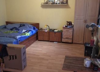 Сдается 1-ком. квартира, 30 м2, поселок городского типа Панковка, Промышленная улица, 11к1