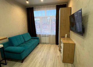 Квартира в аренду студия, 20 м2, Сочи, переулок Чехова, 8