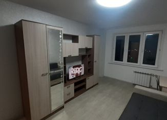 Сдам в аренду 1-ком. квартиру, 42 м2, Красноярск, улица Шевченко, 1А