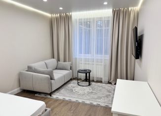 1-ком. квартира в аренду, 38.81 м2, Кингисепп, переулок Юности, 2/4