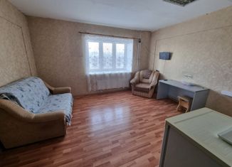 Сдам в аренду квартиру студию, 28 м2, Омск, Мельничная улица, 87к3