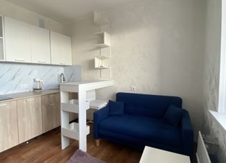 Сдается квартира студия, 20 м2, Искитим, жилмассив Ясный, 18