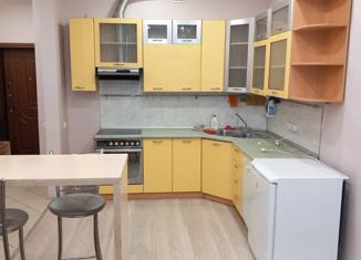 Сдается квартира студия, 30 м2, Красноярск, улица Вильского, 16А