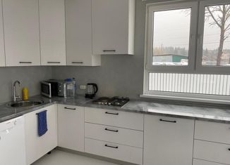 Сдается дом, 100 м2, деревня Лигачёво