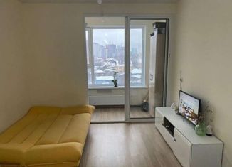 Аренда 1-комнатной квартиры, 30 м2, Екатеринбург, улица Чкалова, 18, метро Площадь 1905 года