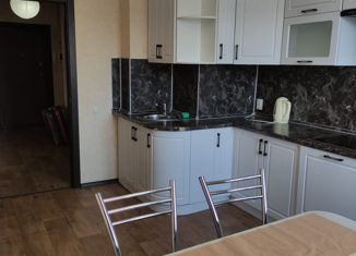 Аренда 1-комнатной квартиры, 49 м2, Самара, улица Врубеля, 13