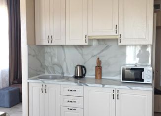 Аренда квартиры студии, 30 м2, Сочи, Садовая улица, 68А, микрорайон Черемушки