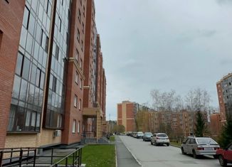 Сдам в аренду квартиру студию, 25 м2, Новосибирск, ЖК Кленовая аллея, микрорайон Стрижи, 1