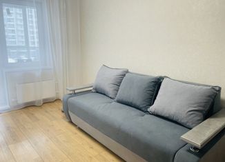 Сдаю двухкомнатную квартиру, 31 м2, Красноярск, улица Лесников, 27