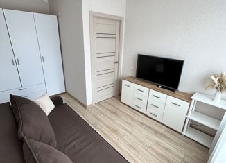 Аренда однокомнатной квартиры, 30 м2, Красноярск, Апрельская улица, 5К