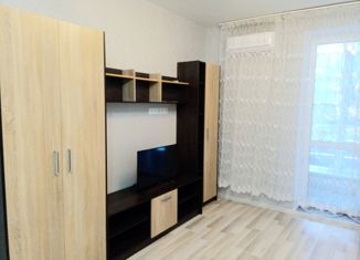 Квартира в аренду студия, 30 м2, Ростов-на-Дону, Днепровский переулок, 117с1