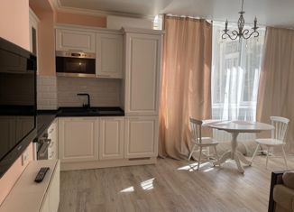 Сдам 1-ком. квартиру, 30 м2, Ростов-на-Дону, улица Малюгиной, 228, Кировский район