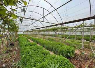 Продается участок, 30000 сот., Почтовское сельское поселение