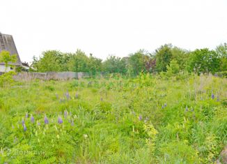 Земельный участок на продажу, 6 сот., село Толмачево, 6-й Дачный проезд