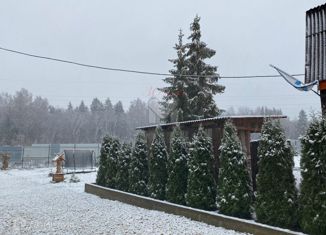 Продам дом, 200 м2, деревня Большие Борницы, 41А-002