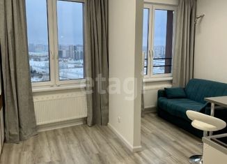 Продается квартира студия, 24.1 м2, поселение Московский, Родниковая улица, 30к1, ЖК Румянцево-Парк