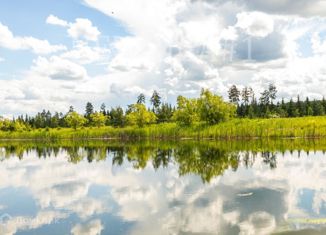 Продается участок, 40 сот., деревня Бузланово