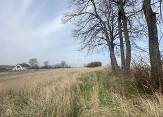 Земельный участок на продажу, 25 сот., село Частая Дубрава