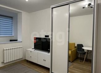 Квартира в аренду студия, 25 м2, Ростов-на-Дону, проспект 40-летия Победы, 63/17с1