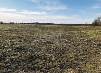 Продажа участка, 15 сот., поселок Сяглицы