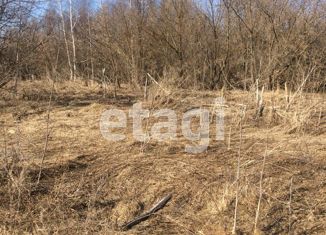 Земельный участок на продажу, 53 сот., село Борисоглеб