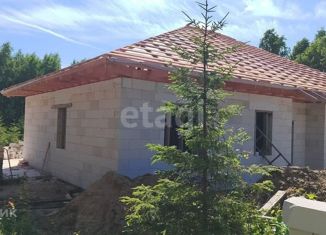 Дом на продажу, 60 м2, деревня Красная Новь