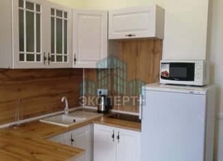 Сдаю квартиру студию, 28 м2, Анапа, Таманская улица, 121к14, ЖК Бельведер