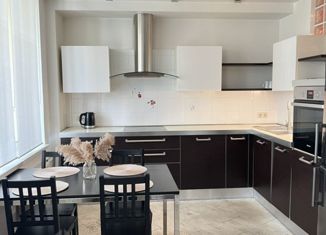 2-ком. квартира в аренду, 70 м2, Санкт-Петербург, проспект Энгельса, 93, метро Удельная